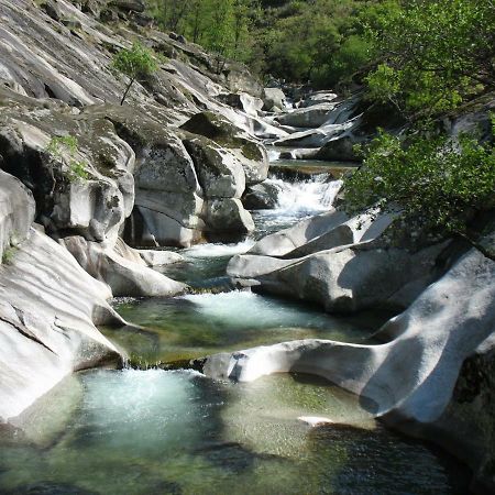 Apartmán La Casita Del Jerte Cabezuela Del Valle Exteriér fotografie