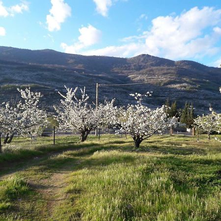 Apartmán La Casita Del Jerte Cabezuela Del Valle Exteriér fotografie