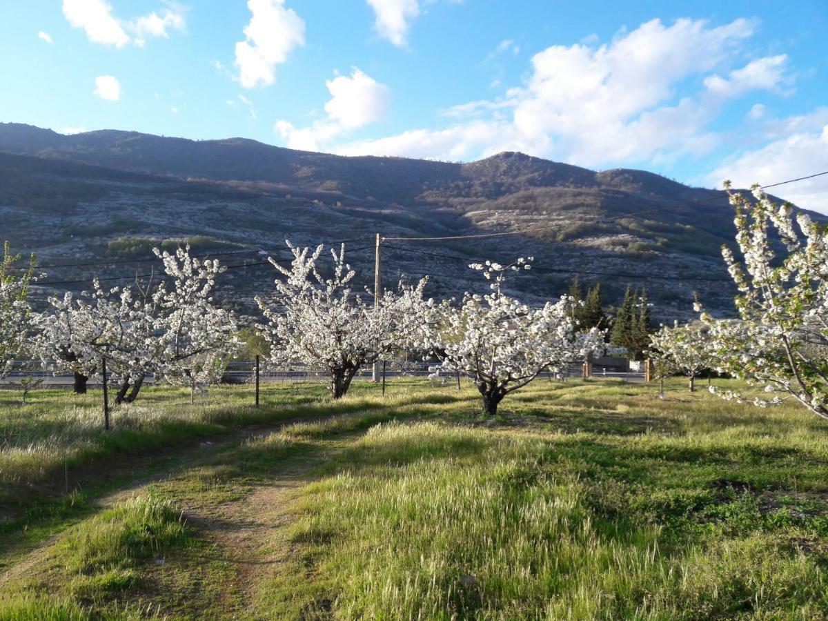 Apartmán La Casita Del Jerte Cabezuela Del Valle Exteriér fotografie